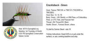 crackleback-green-holo