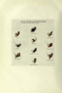 Ten most popular dry flies