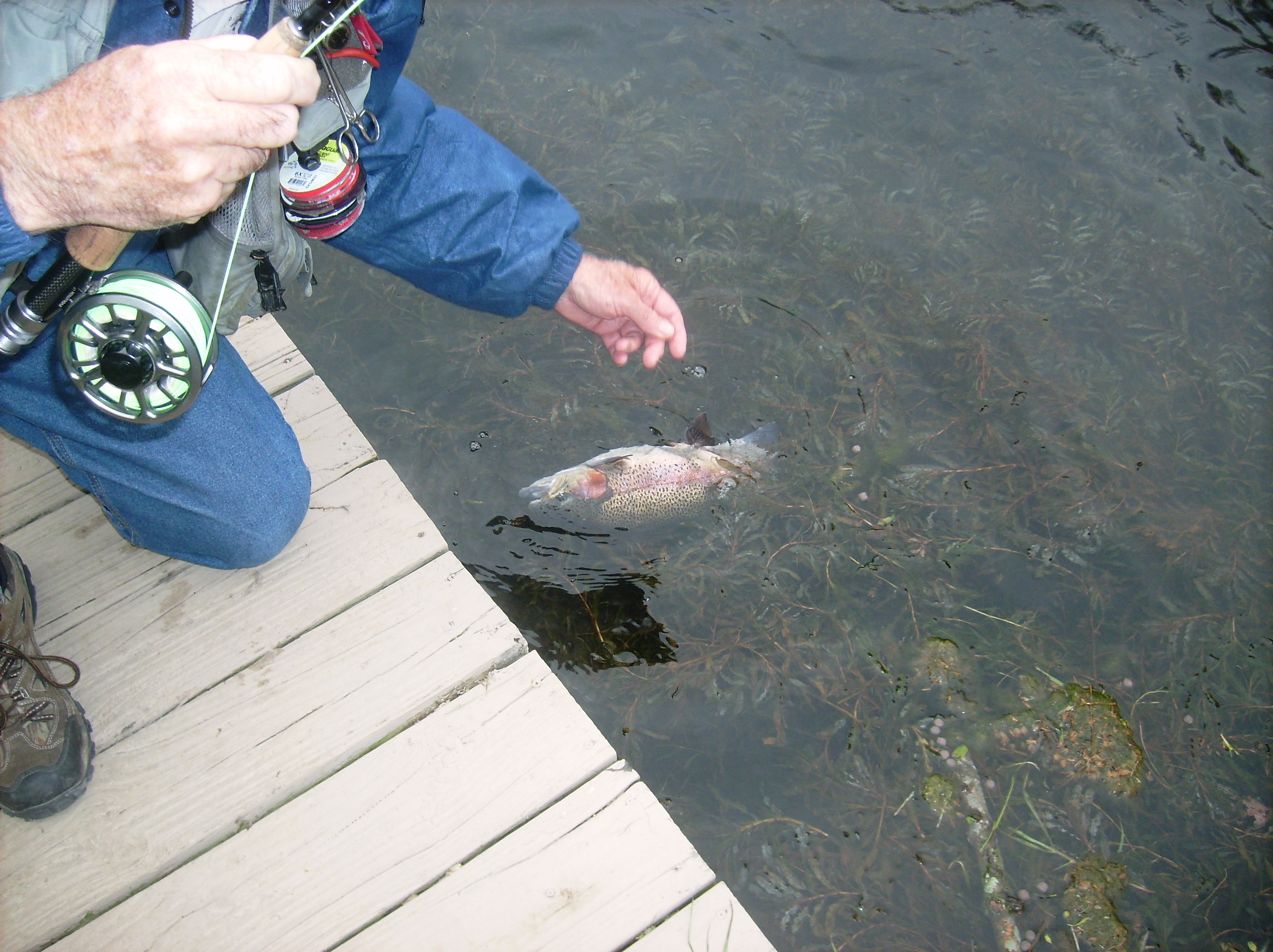 DSCI0012 Missouri Trout Fisherman's Association Springfield Chapter