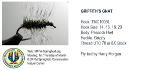 Griffith's Gnat