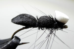 foam-ant-with-hackle-legs-1