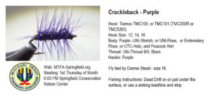 crackleback-purple