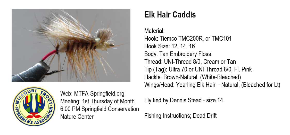 Elk Hair Caddis - Missouri Trout Fisherman's Association - Springfield  Chapter