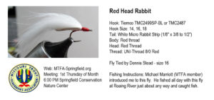 red-head-rabbit