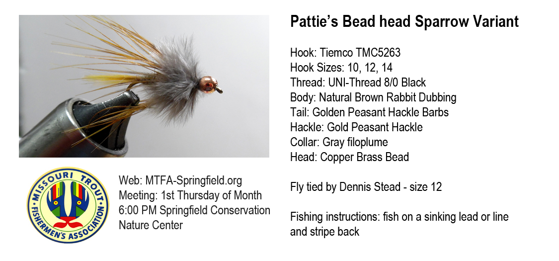Bead Head Sparrow Variant (Patti Hayes) - Missouri Trout Fisherman's  Association - Springfield Chapter