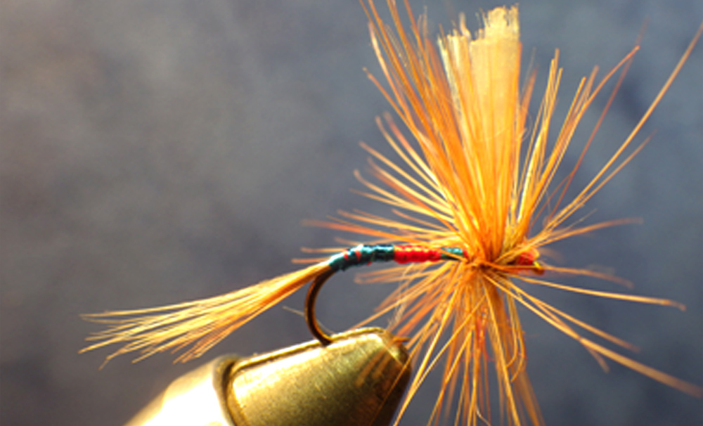 Patriot Dry Fly and Parachute Patriot - Missouri Trout Fisherman's  Association - Springfield Chapter