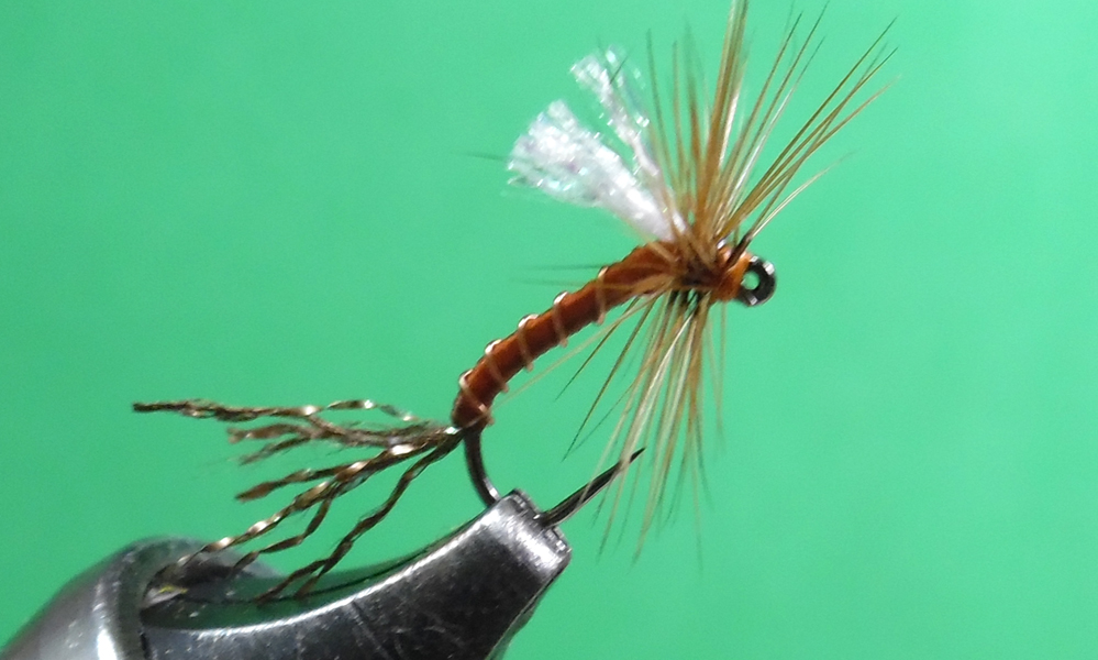 Root Beer Dry Emerger Variant - Missouri Trout Fisherman's