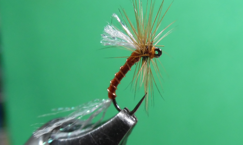 Root Beer Dry Emerger Variant - Missouri Trout Fisherman's Association -  Springfield Chapter